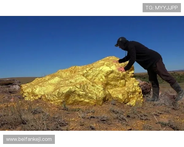 《淘金》:不止是寻宝,更是人生这场波澜壮阔的征途