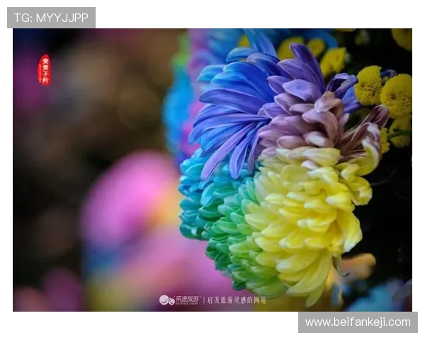 《琉璃厂传奇》：一纸风华，一生情缘，古都风韵等你来品