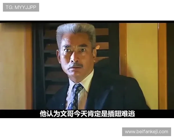 枪火与智谋的终极对决：警匪剧大全，燃爆你的感官！